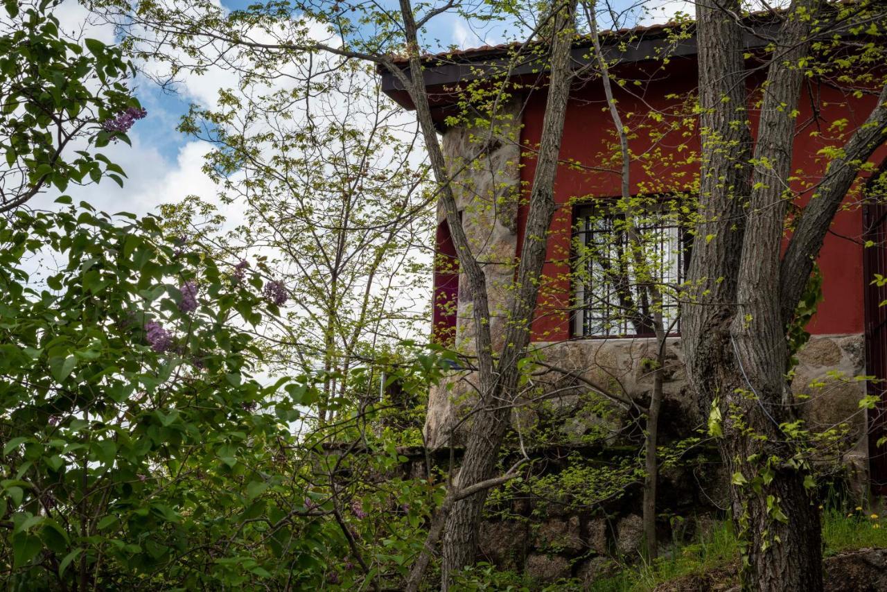 Villa Casita En La Sierra Zarzalejo Exterior foto